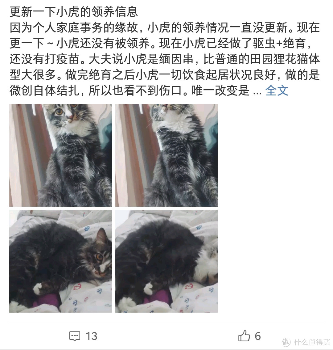 每天大概有十几二十个人私信我想领养他。。