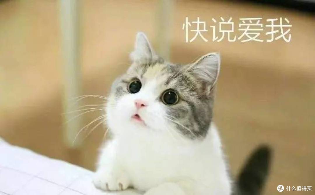 【toto马桶对比详解】功能基本上同样的马桶,为什么别人可以比你少花3000元?