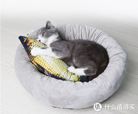 新手养猫指南——这12款最高不超9.9的猫玩具快给主子安排吧！