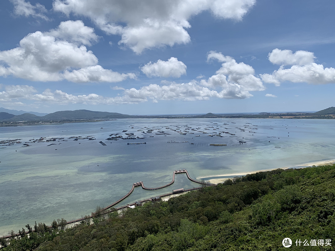 海南陵水南湾猴岛半日游