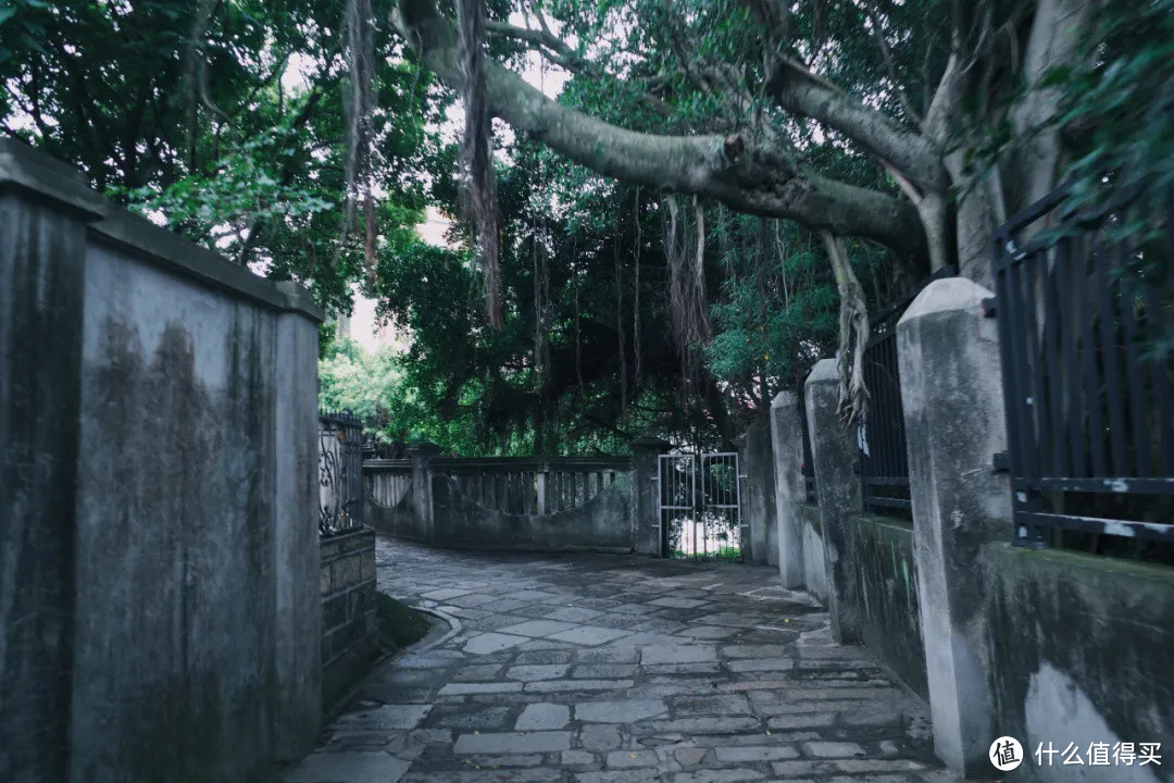 没有人山人海的鼓浪屿，真的非常不错