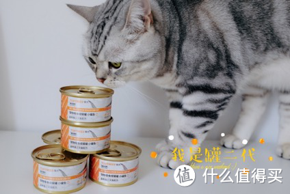 用三道式法国大餐，给猫咪在家过儿童节！