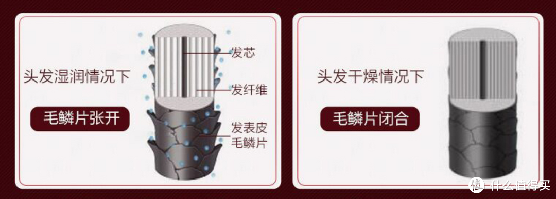 靠颜值就能赢,偏偏还有硬实力:松下吹风机NA98Q人鱼姬限定款体验评测