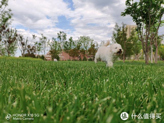 荣耀X10拍照体验：所看即所拍 见证属于自己的大师级摄影效果