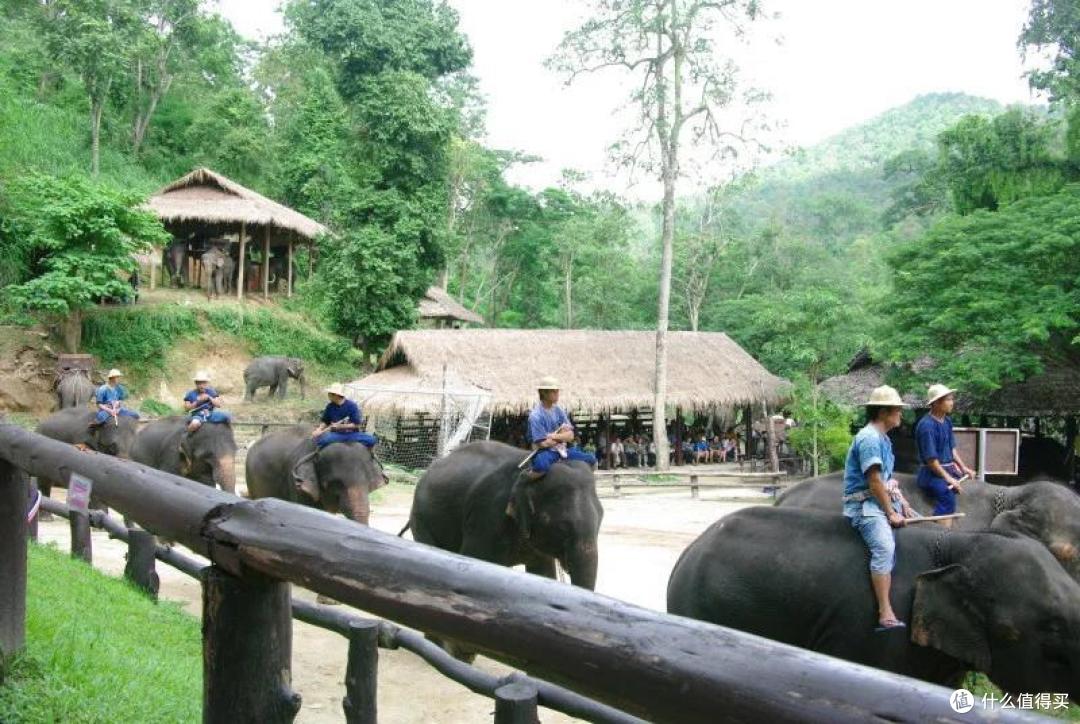 万里走单骑,自驾东南亚:清迈(CHIANG MAI)