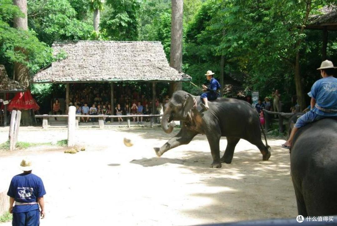 万里走单骑,自驾东南亚:清迈(CHIANG MAI)