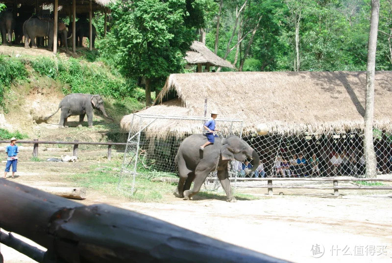 万里走单骑，自驾东南亚:清迈（CHIANG MAI）