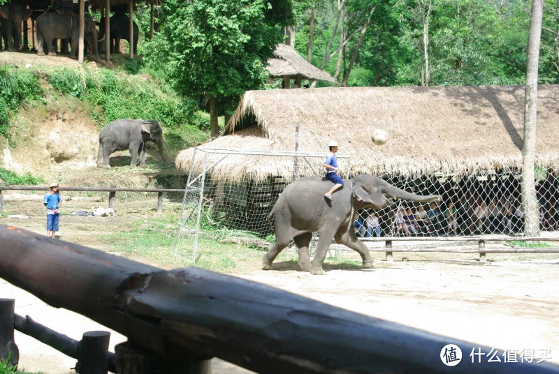 万里走单骑，自驾东南亚:清迈（CHIANG MAI）