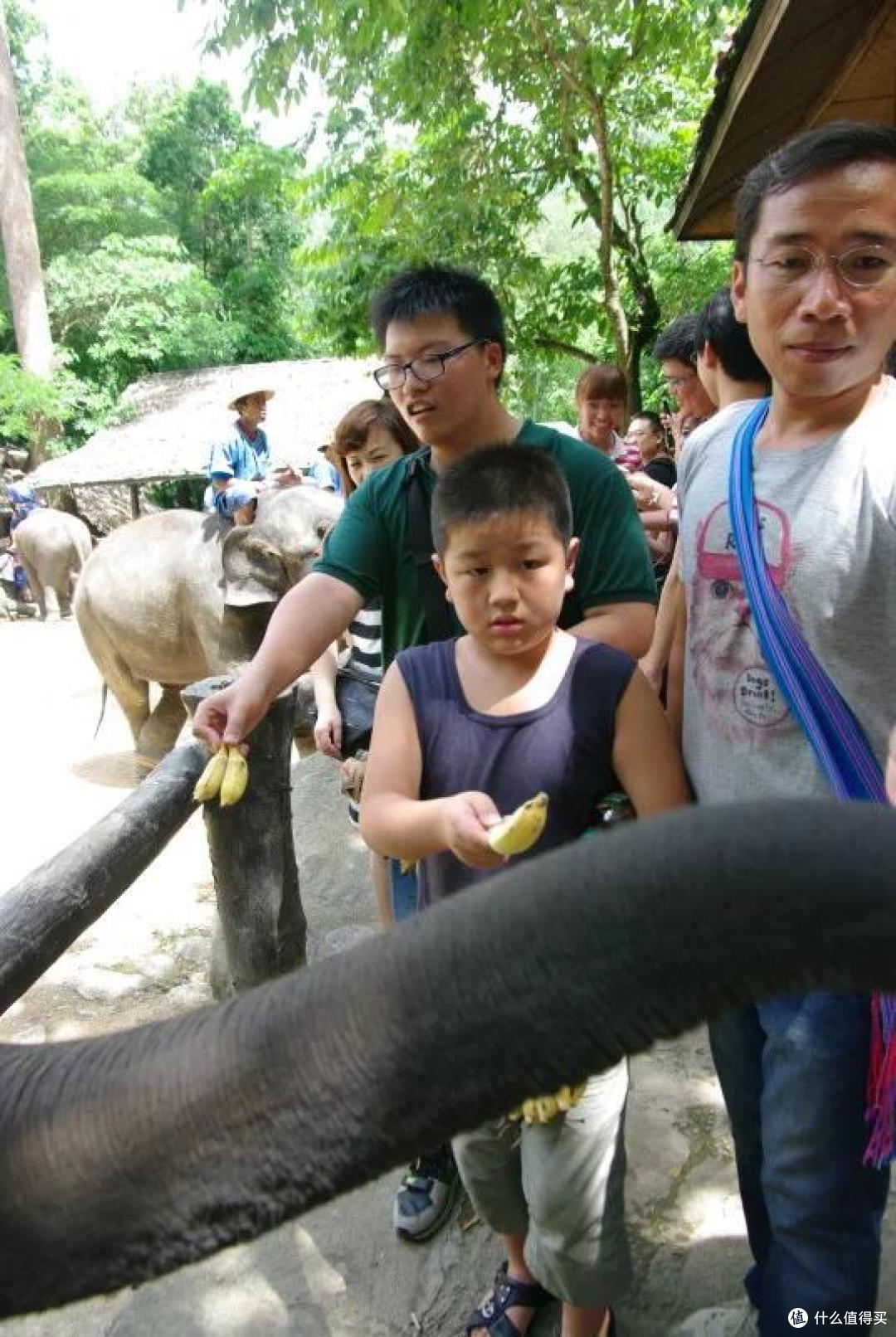 万里走单骑,自驾东南亚:清迈(CHIANG MAI)