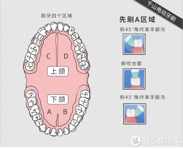 口腔观测线分类图解图片