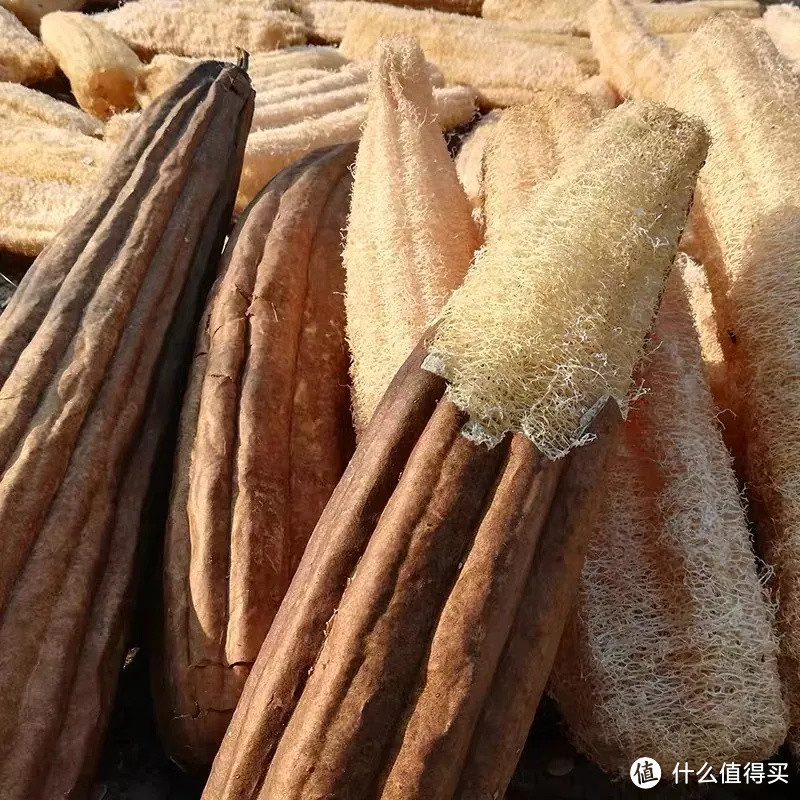 10件厨房清洁收纳好物!便宜又省心!内附好物清单!