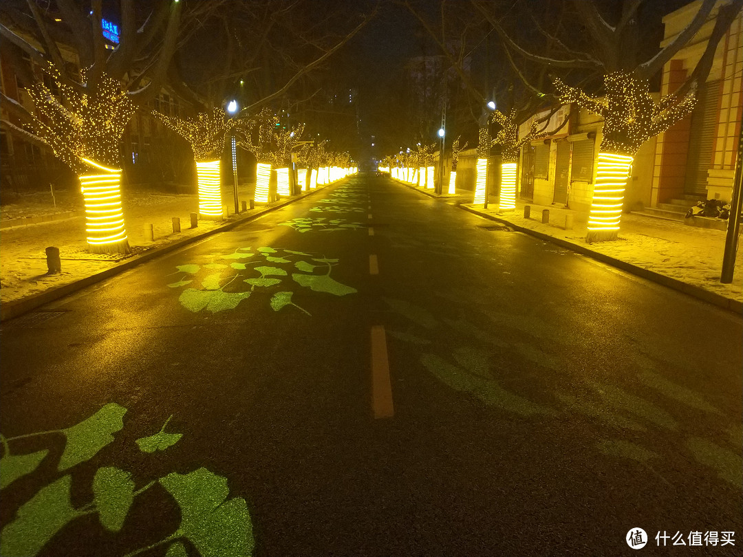 城市大玩家：丹东，银杏大道的风景美如画！