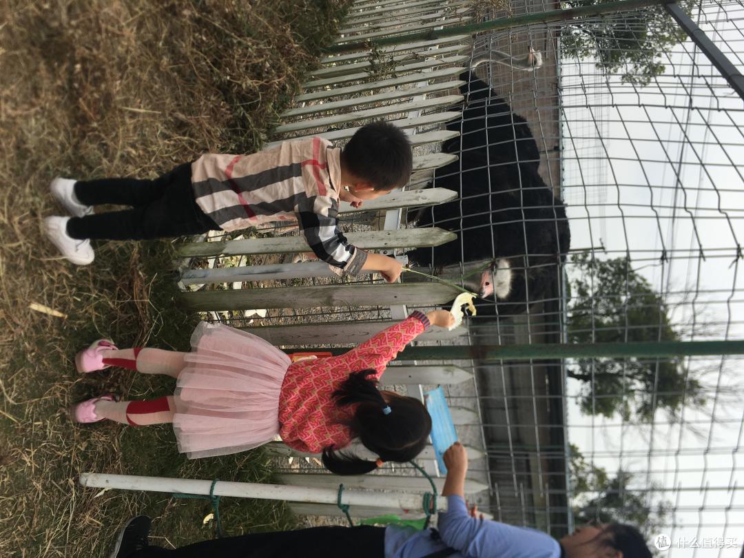 像少年啦飞驰——家有吞金兽之宝妈私藏已久的男童单品和店铺~~618值得关注一波!!