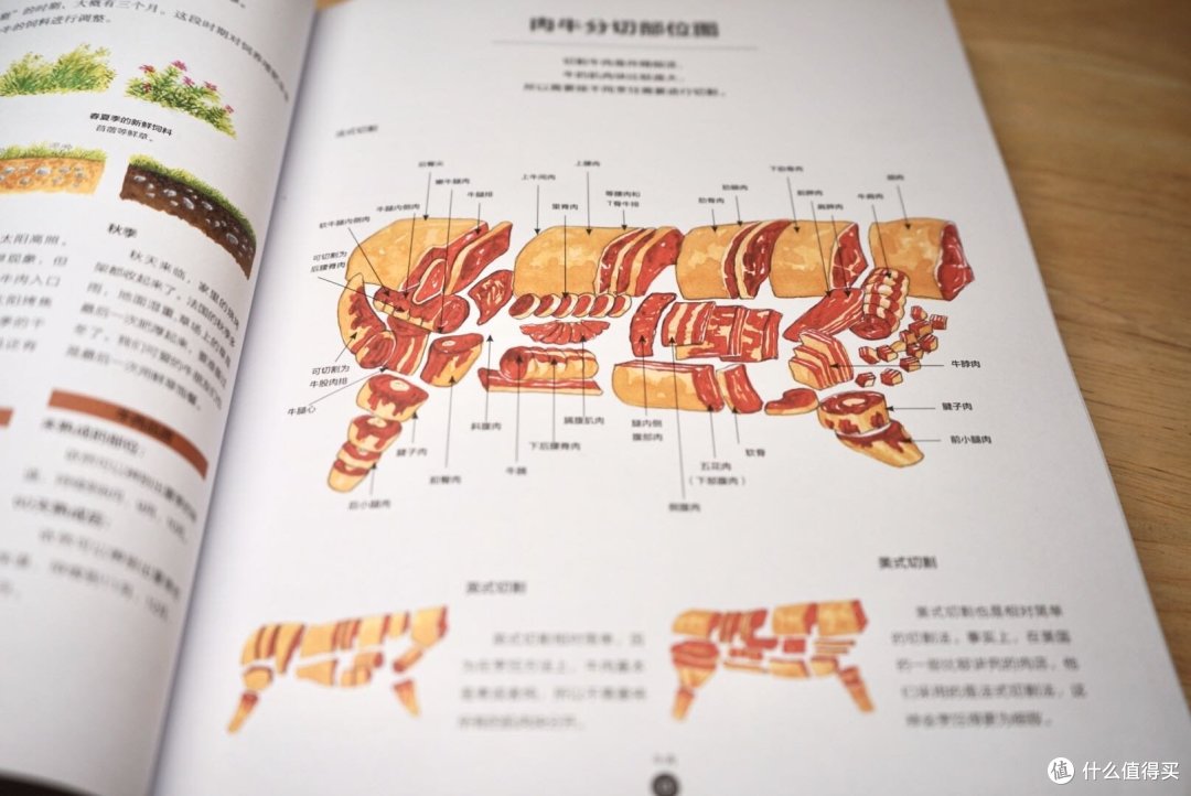 你与厨神之间,可能就差这套《饮食生活新提案》