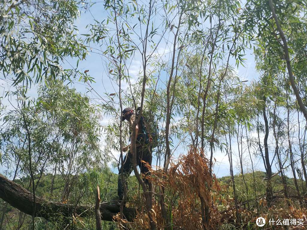 背包后一样微风拂背--多特福特拉26L体验