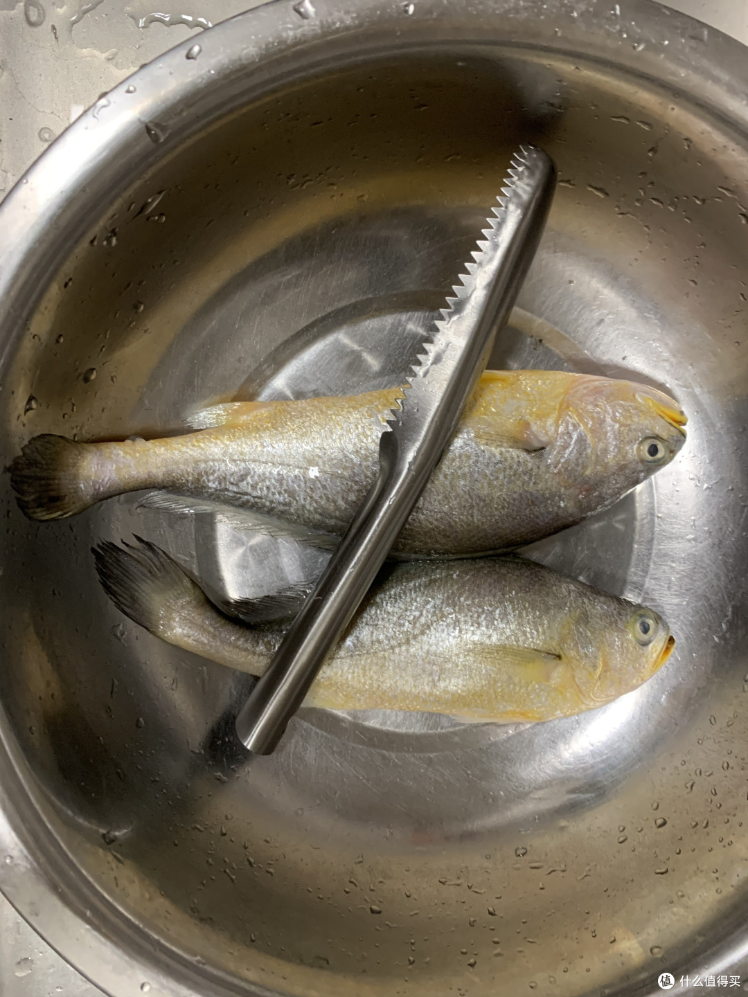 刮鱼鳞