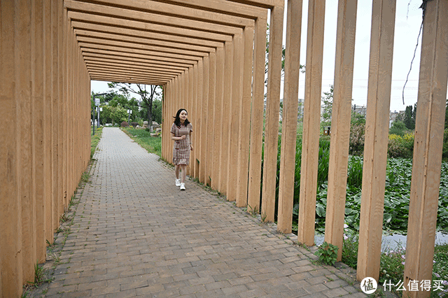是你要的全能微单:尼康Z6全画幅相机&24-70mm镜头评测