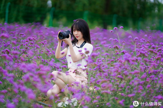 是你要的全能微单:尼康Z6全画幅相机&24-70mm镜头评测