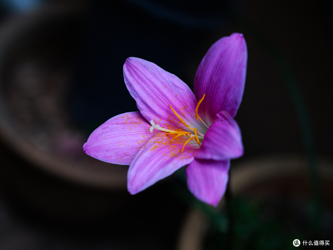 焦距70mm 光圈F4 快门1/50 ISO800
