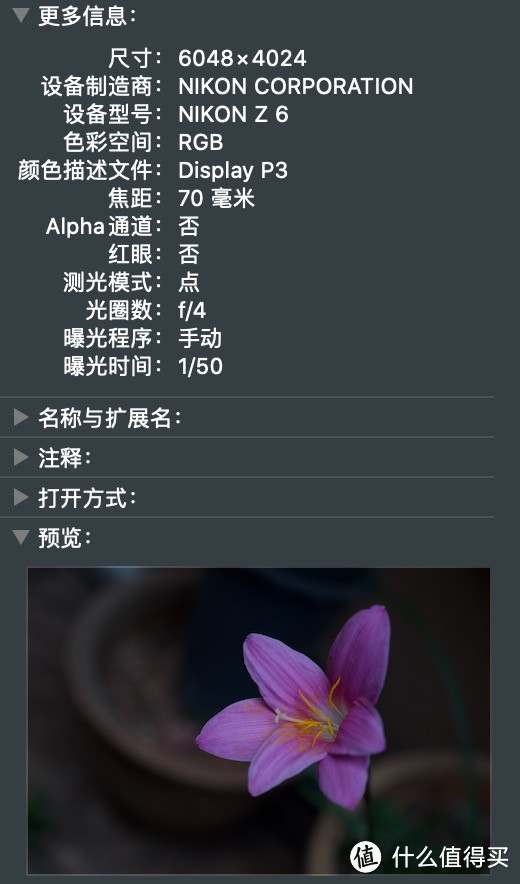 是你要的全能微单：尼康Z6全画幅相机&24-70mm镜头评测