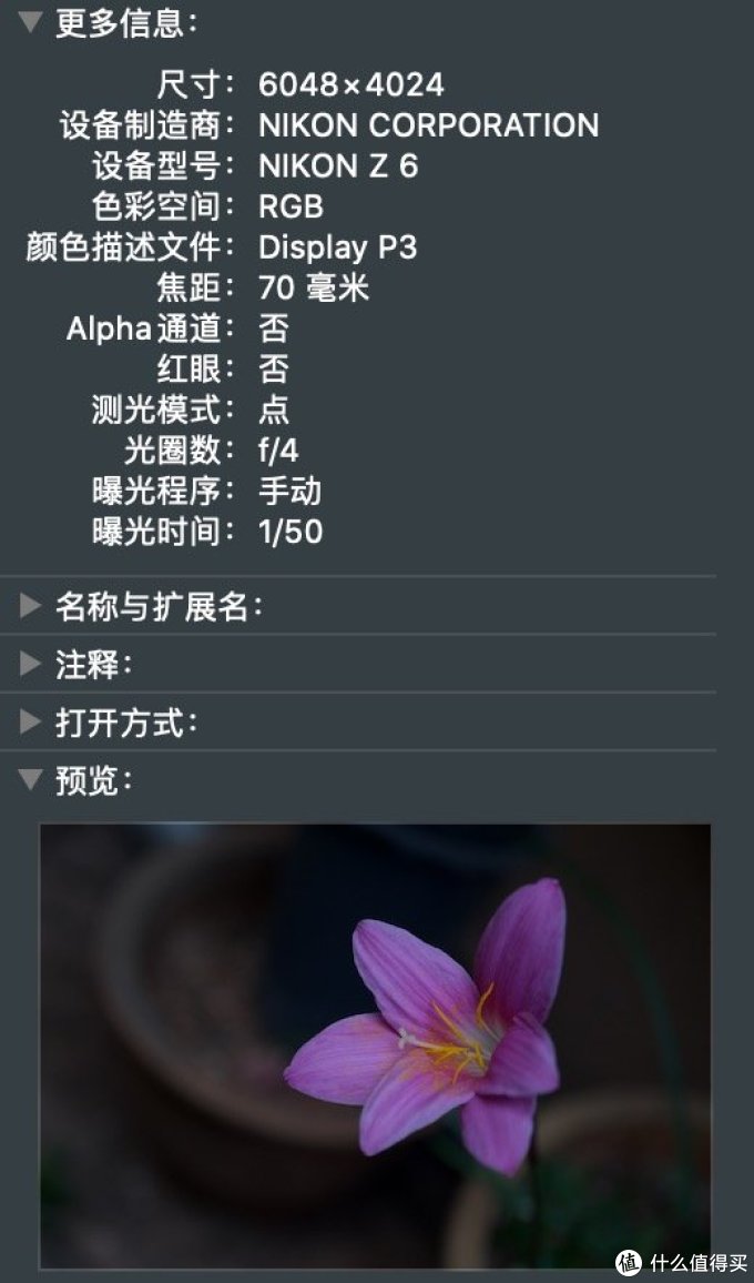 是你要的全能微单:尼康Z6全画幅相机&24-70mm镜头评测