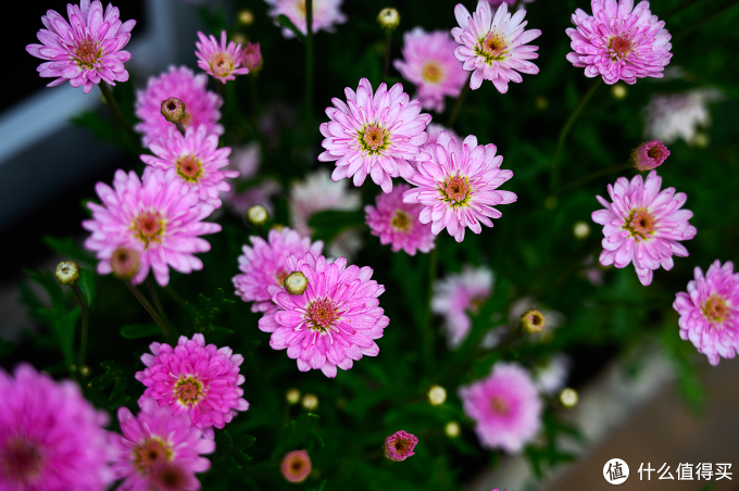 焦距48mm 光圈F4 快门1/500 ISO100