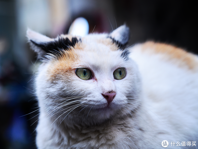 焦距70mm 光圈F4 快门1/50 ISO500