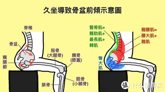 弓箭步，一个被低估的翘臀动作，3步教你完美完成