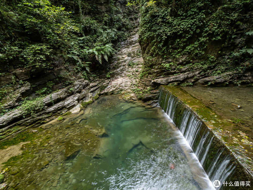 奥林巴斯OM-D E-M1 Mark III值不值得买 听听奥粉的全面解读