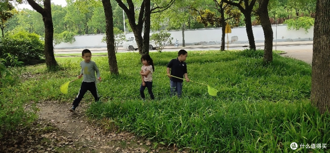 华泾公园手摘樱桃游老华泾路以南新华泾路以北龙吴路以西一个安静舒适运动休