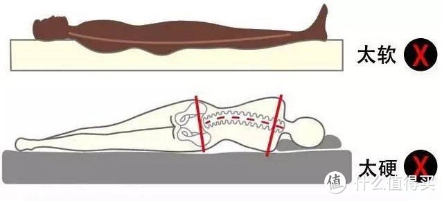 失眠要床垫背锅？测试完这款实力护脊护腰床垫后，真香！