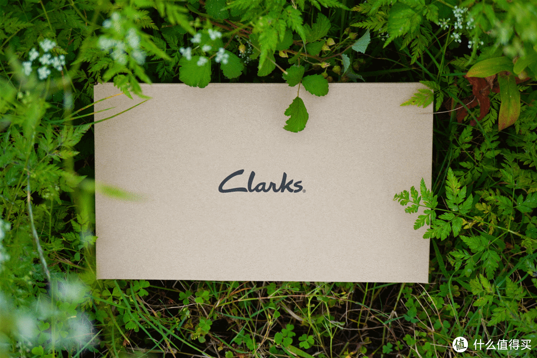 夏日只有时尚哪里够？Clarks Tri Verve Lace休闲小白鞋穿出舒适！