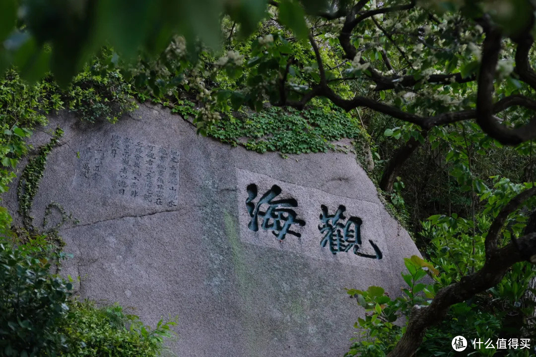 青岛好吃到让人有点怀疑人生