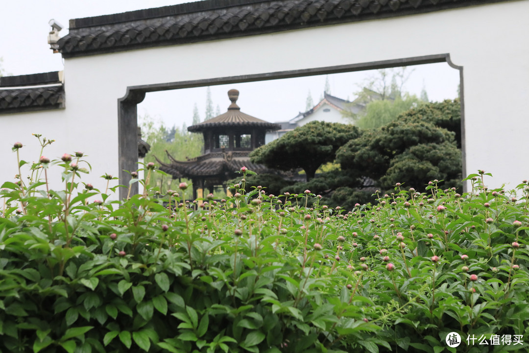 城市大玩家：扬州丝与竹——瘦西湖景区