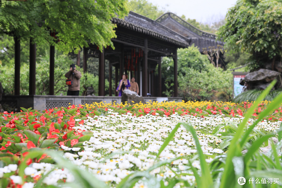 城市大玩家：扬州丝与竹——瘦西湖景区