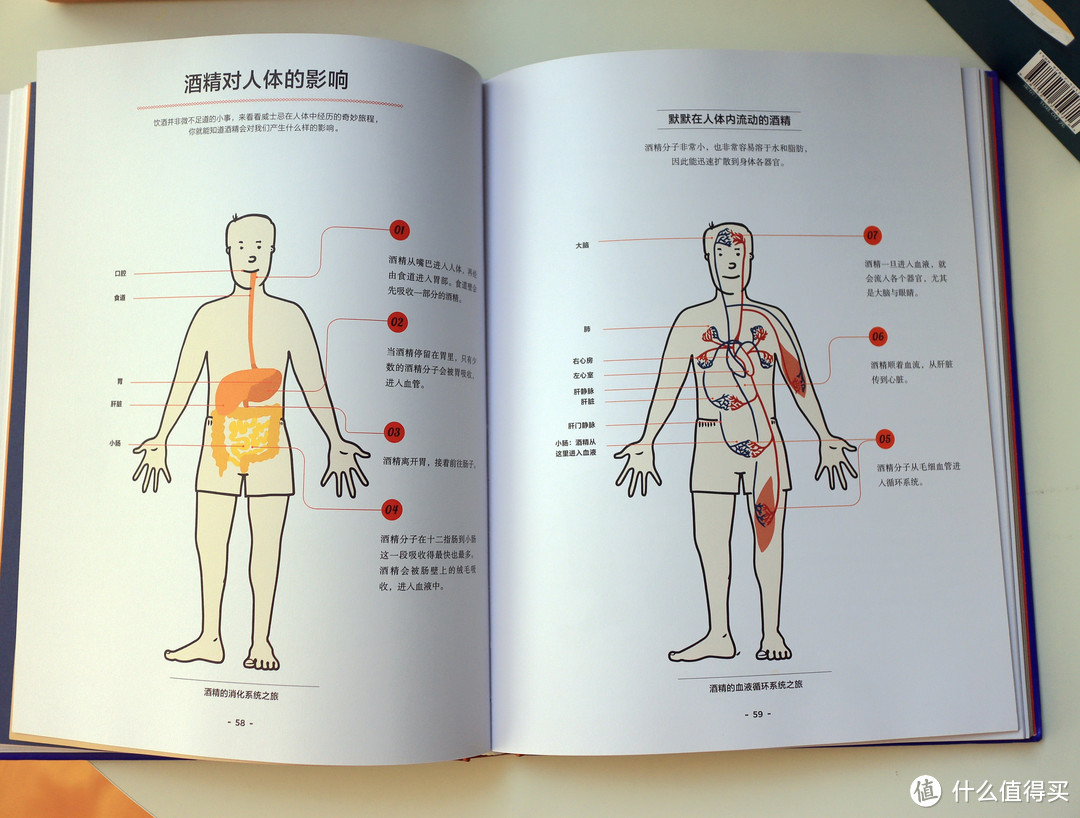 论一个吃货的自我修养，你不得不看的一套美食书籍——饮食生活新提案