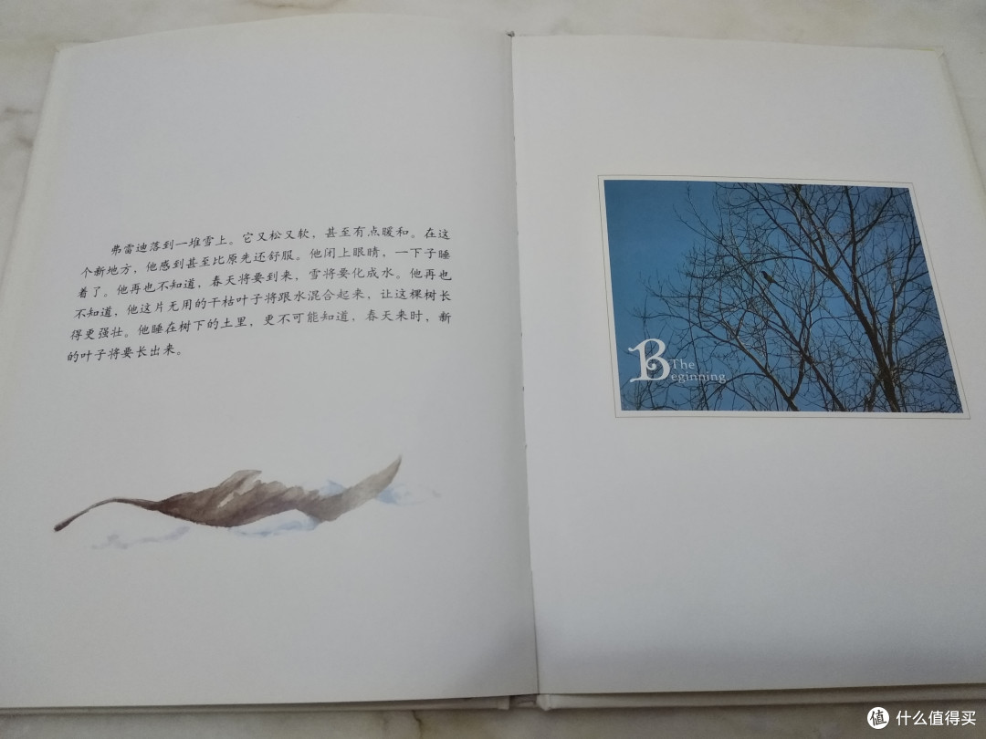 和儿女一起读的一本关于生命教育绘本——《一片叶子的落下》