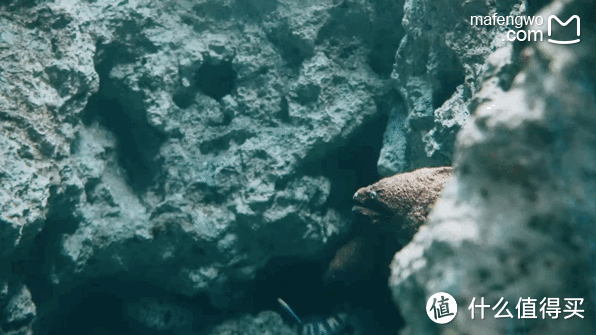 台湾海洋生物博物馆