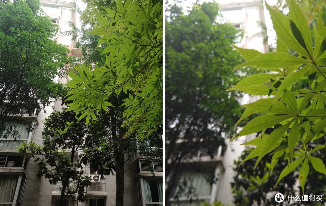 超全,一篇文章搞清楚大疆Osmo三款产品区别!