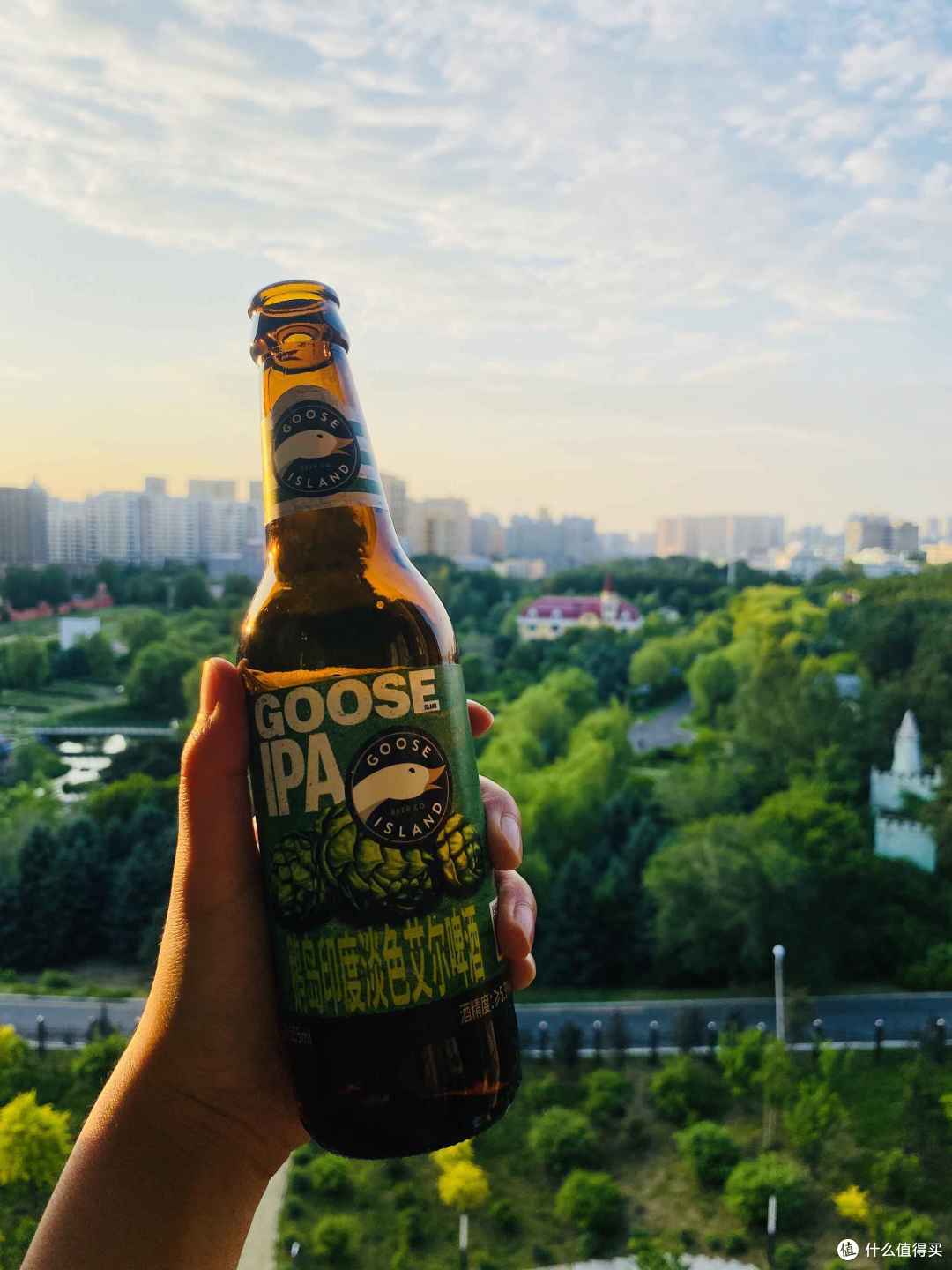 精酿啤酒入门选择 Goose Island鹅岛 Boxing Cat拳击猫