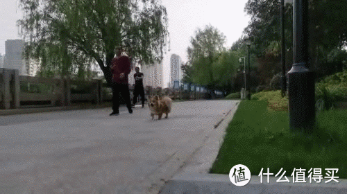 如何告别拍照窘态将创意发挥到极致?魔爪稳定器Mini-S尊享版手机云台使用简评
