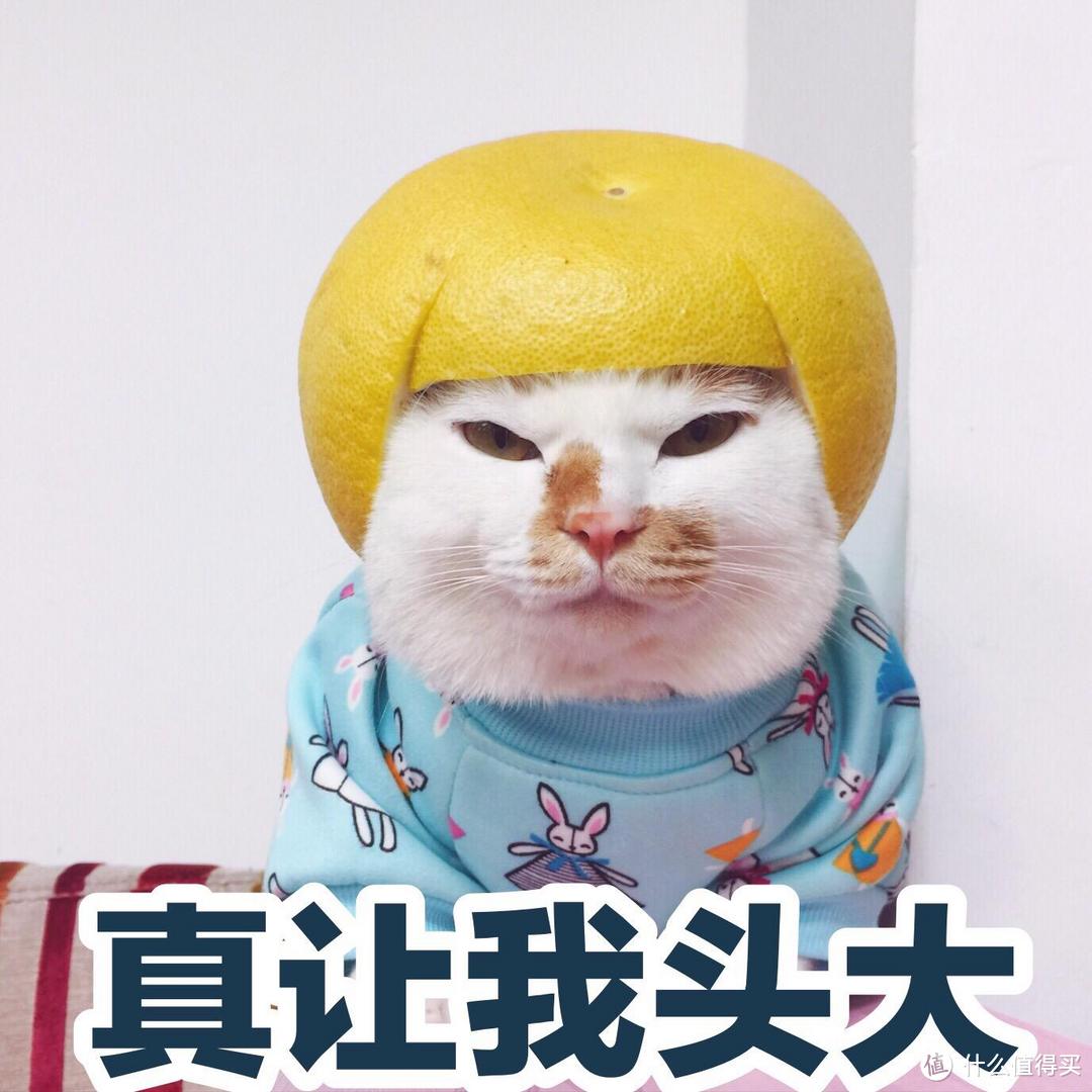 告别脏乱臭,开启冰箱收纳大作战