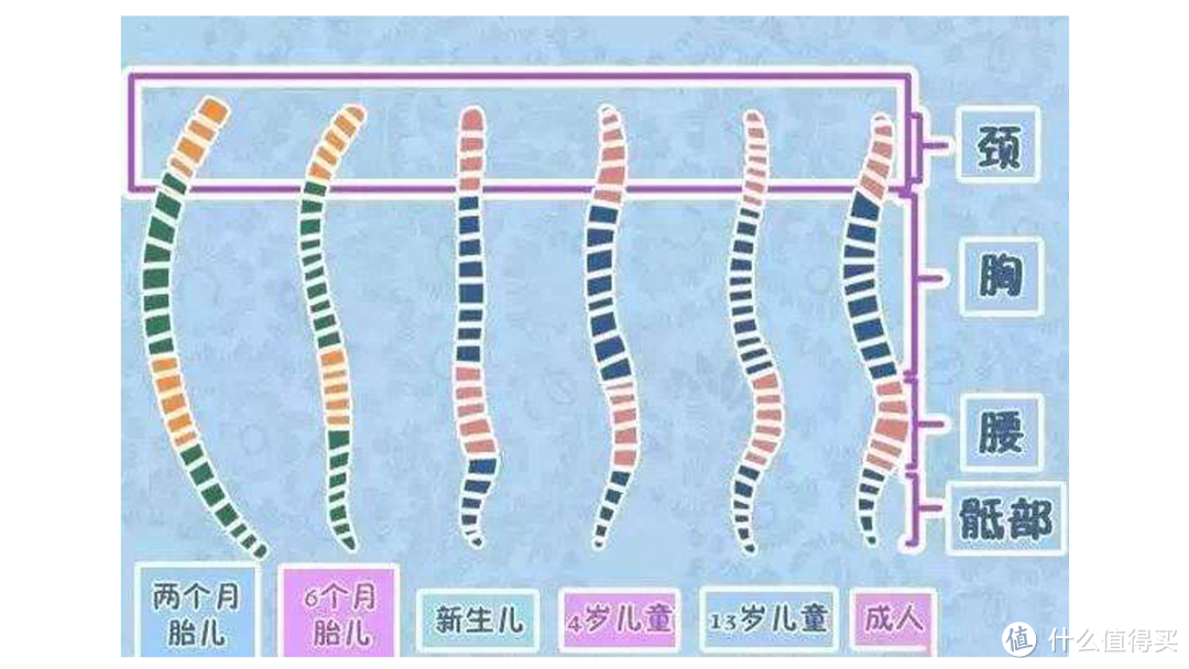 安全座椅选购科普，618安全座椅选购指南！