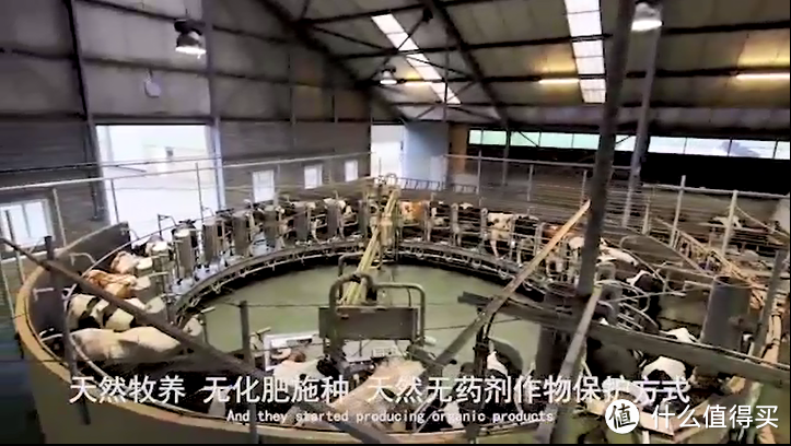 订鲜奶还是进口奶?8款牛奶营养成分全线PK