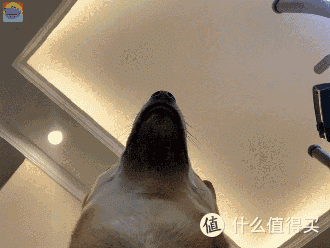 现在交六一作业还来得及么?老玩家时隔6年的装机,顺便DIY一个蓝牙音箱