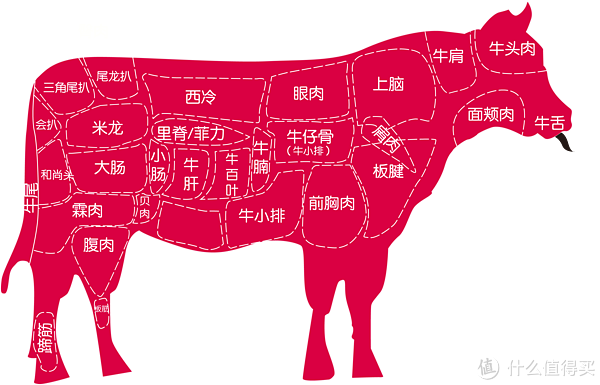 个人纯手绘大概的牛肉细分图，肉品比例有不对大家容忍（图二）