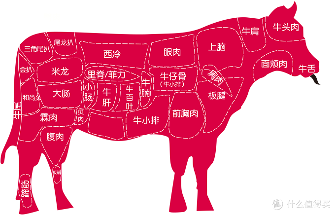 个人纯手绘大概的牛肉细分图，肉品比例有不对大家容忍（图二）