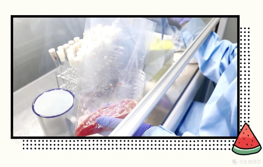 硬核验证丨盖了保鲜膜的西瓜细菌会更多吗?