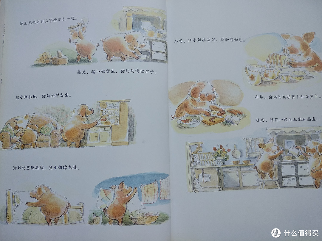 一本属于小学的小朋友的生命教育绘本-《和猪奶奶说再见》