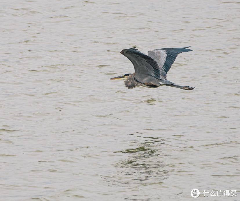 索尼FE100-400mm f/4.5-5.6 GM | 最全能长焦